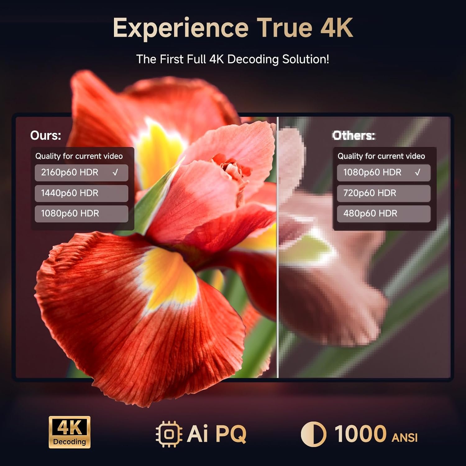 714mH+cwwZL._AC_SL1500_